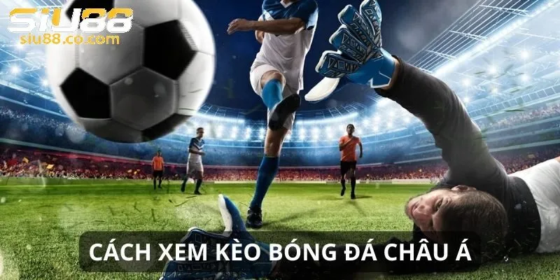 Kèo Châu Á Là Gì? Cùng Chiến Ngay Tại Siu88 3 Mẹo bắt kèo châu Á chuẩn xác 100%
